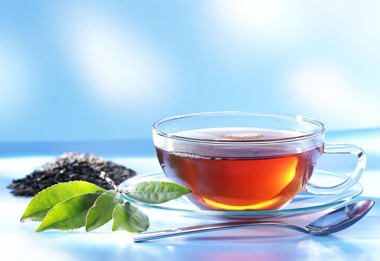 Teetasse aus Glas mit frischen Teeblättern und schwarzem Tee